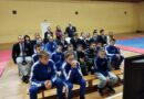 В Гомельской области прошел судейский семинар по правилам каратэ WKF